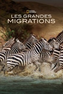دانلود مستند Great Migrations417146-1864973707