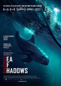 دانلود فیلم Sea of Shadows 2019427147-1588604652
